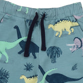 Running Dinosaurs Shorts